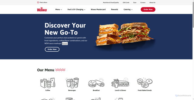 Security scan screenshot of https://www.wawa.com