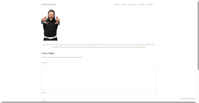 Security scan screenshot of https://hardypinball.com/team/jeff-hardy/