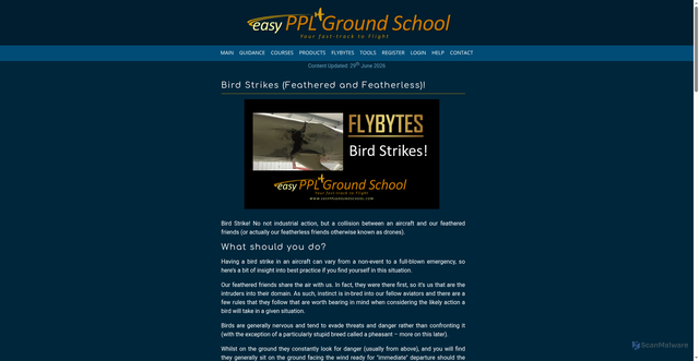 Security scan screenshot of https://www.easypplgroundschool.com/main/article-bird-strikes.do