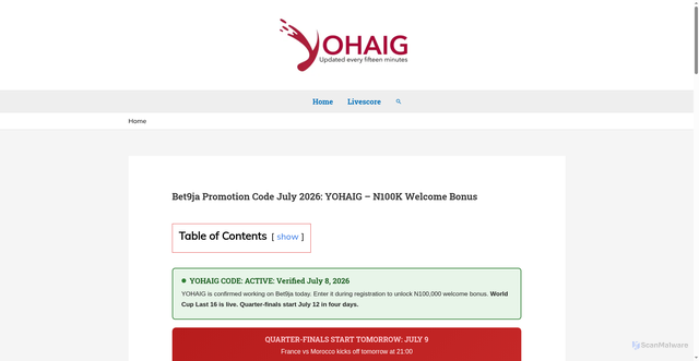 Security scan screenshot of https://www.yohaig.ng