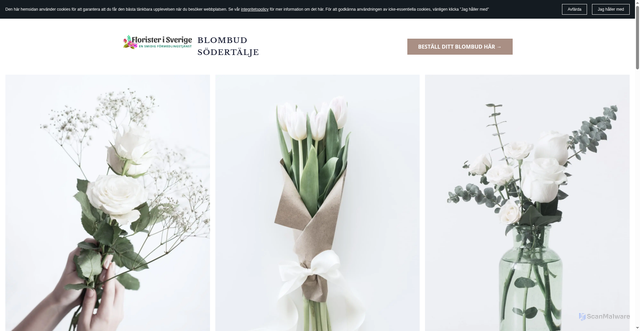Security scan screenshot of https://xn--skickablombudsdertlje-n2b32b.se