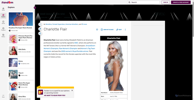 Security scan screenshot of https://wweuniverse2k.fandom.com/wiki/Charlotte_Flair
