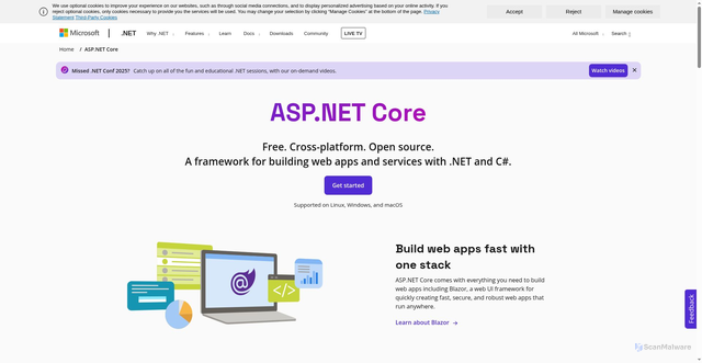 Security scan screenshot of https://cdnsrc.asp.net