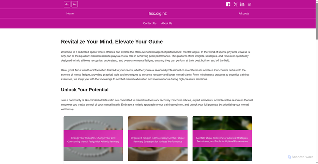 Security scan screenshot of https://hsc.org.nz/