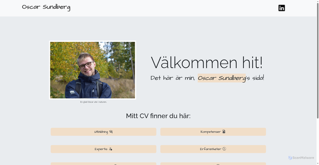 Security scan screenshot of https://oscarsundberg.se