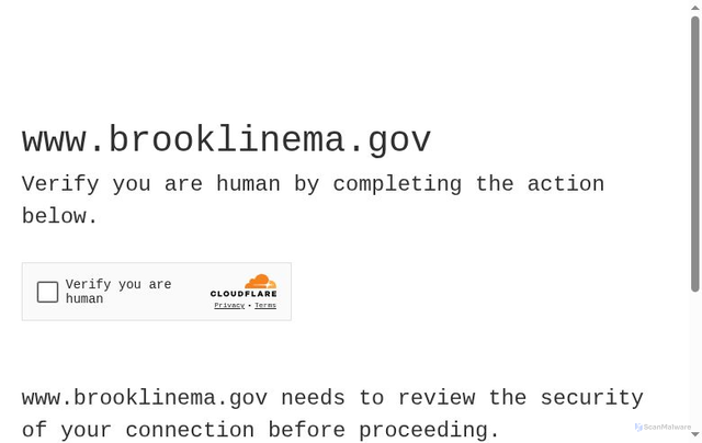 Security scan screenshot of https://www.brooklinema.gov/