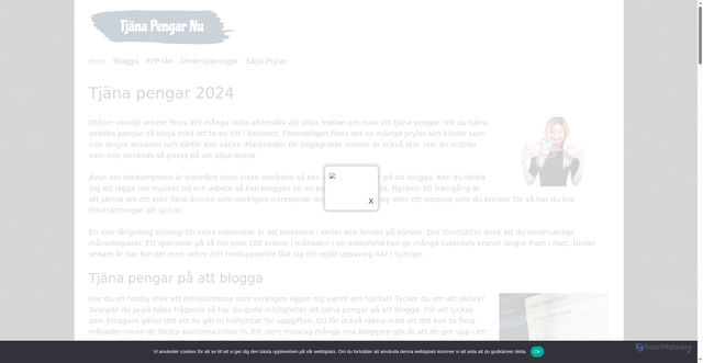 Security scan screenshot of https://tjanapengarnu.se