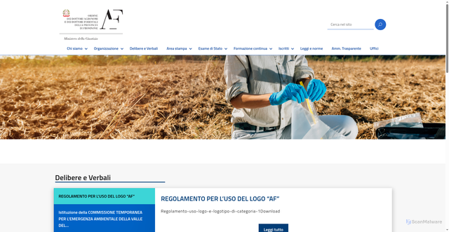 Security scan screenshot of https://ordinefrosinone.conaf.it/