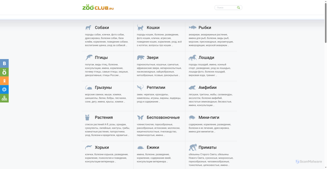 Security scan screenshot of https://zooclub.ru