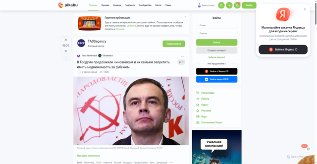 Security scan screenshot of https://cs5.pikabu.ru