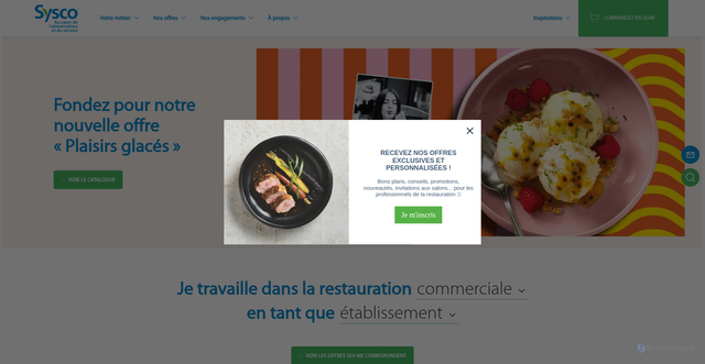 Security scan screenshot of https://sysco.fr/