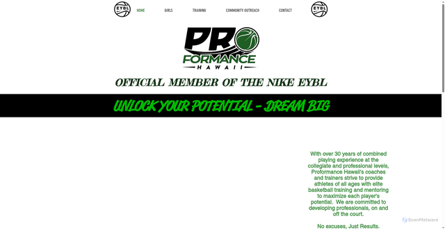 Security scan screenshot of https://www.proformancehawaii.com/