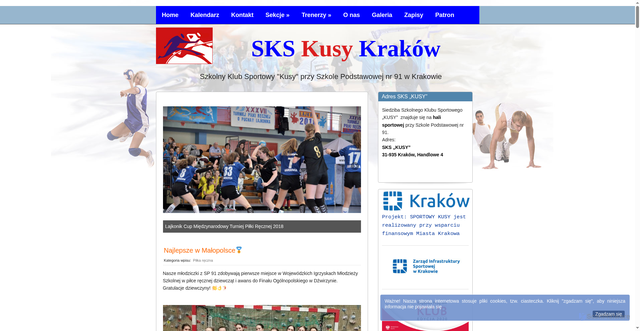 Security scan screenshot of https://www.skskusy.pl