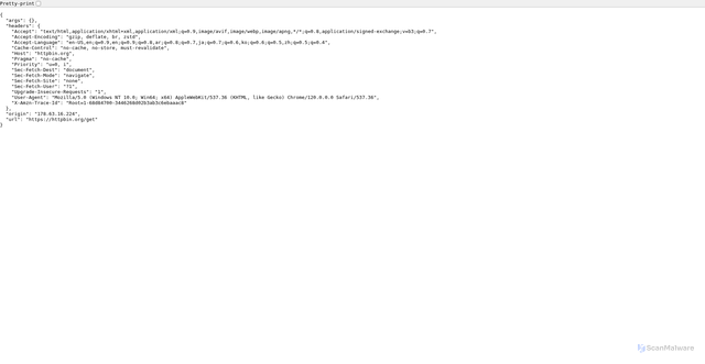 Security scan screenshot of https://httpbin.org/get