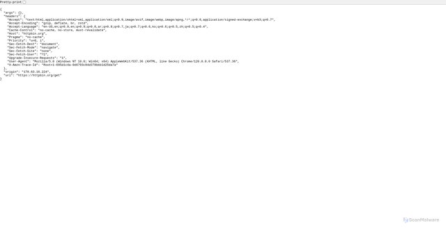 Security scan screenshot of https://httpbin.org/get