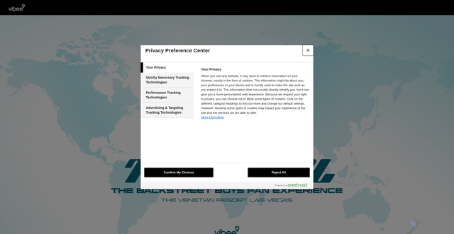 Security scan screenshot of https://backstreetboysterminal.vibee.com/