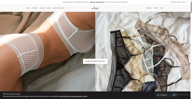 Security scan screenshot of https://elselingerie.com/