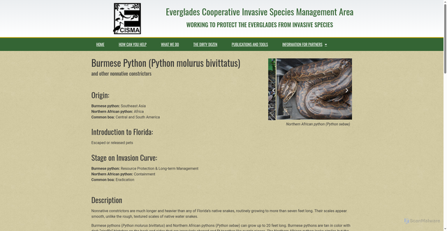 Security scan screenshot of https://www.evergladescisma.org/the-dirty-dozen/burmese-python/