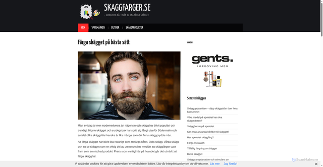 Security scan screenshot of https://xn--skggfrger-w2ad.se
