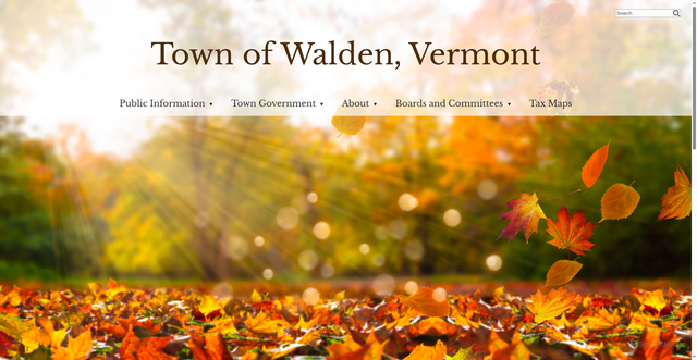 Security scan screenshot of https://waldenvt.gov/