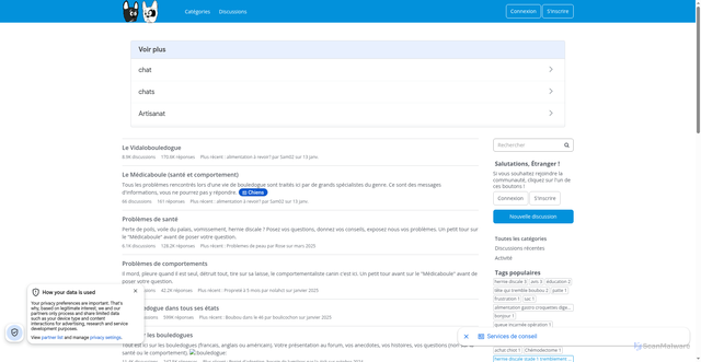 Security scan screenshot of https://forum.rogerlebouledogue.com
