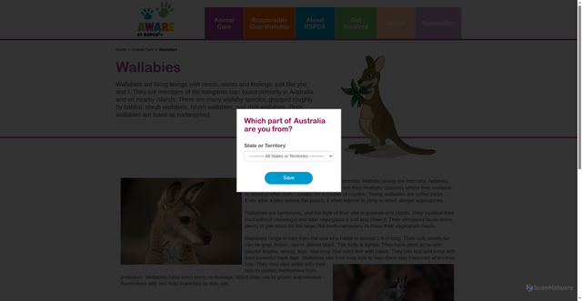 Security scan screenshot of https://kids.rspca.org.au/animal-care/wallabies/
