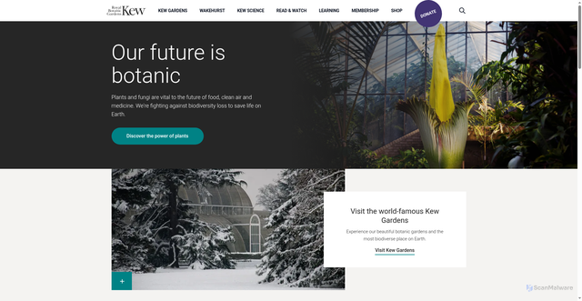 Security scan screenshot of https://www.kew.org/