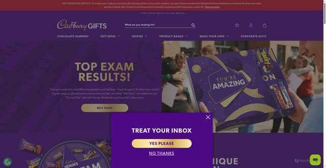 Security scan screenshot of https://www.cadburygiftsdirect.co.uk