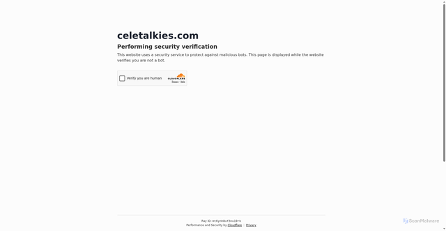 Security scan screenshot of https://celetalkies.com/