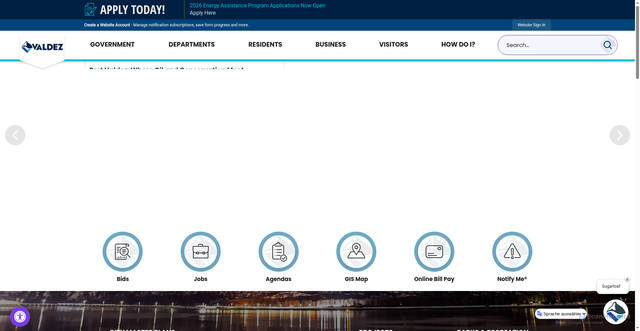 Security scan screenshot of https://www.valdezak.gov/