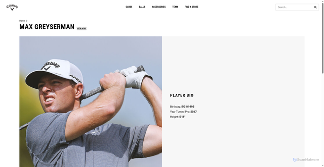 Security scan screenshot of https://in.callawaygolf.com/max-greyserman.html