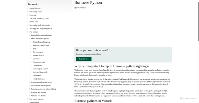 Security scan screenshot of https://agriculture.vic.gov.au/biosecurity/pest-animals/exotic-pest-animal-species/burmese-python