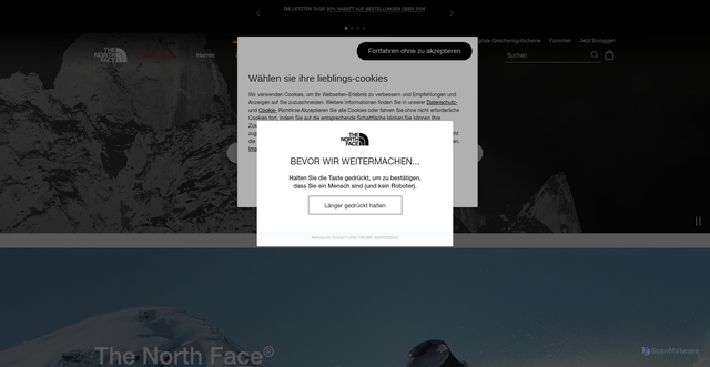 Security scan screenshot of https://www.thenorthface.com/