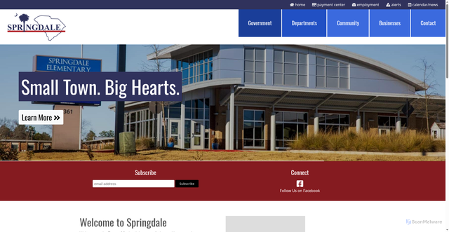 Security scan screenshot of https://springdalesc.com/