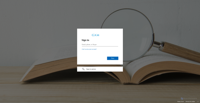 Security scan screenshot of https://app-msgb-dev01-cgen01-app.dev.azu.gaminvest.dev/