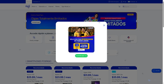 Security scan screenshot of https://tigosvspt.art/