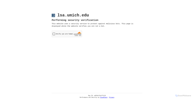 Security scan screenshot of https://lsa.umich.edu