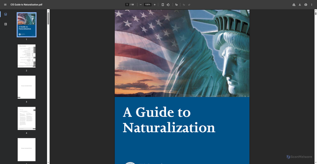 Security scan screenshot of https://www.nmd.uscourts.gov/sites/nmd/files/CIS%20Guide%20to%20Naturalization.pdf