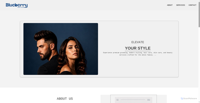 Security scan screenshot of https://blueberrysalon.com/index.html