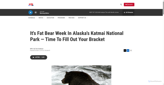 Security scan screenshot of https://newsfeed.wtjx.org/2019-10-06/its-fat-bear-week-in-alaskas-katmai-national-park-time-to-fill-out-your-bracket