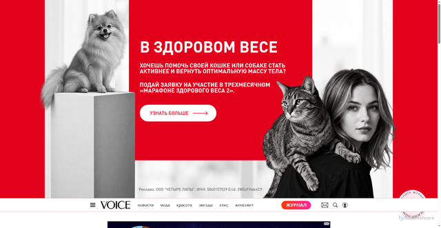 Security scan screenshot of https://www.thevoicemag.ru