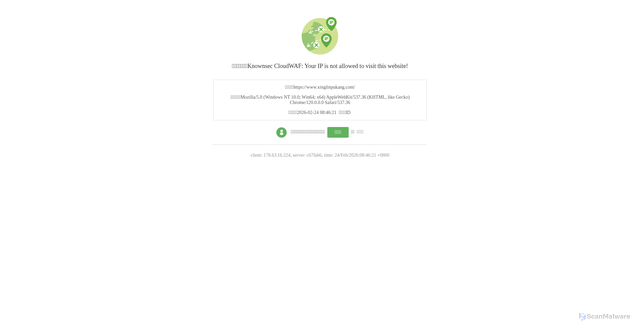 Security scan screenshot of https://www.xinglinpukang.com