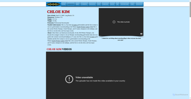 Security scan screenshot of https://www.tripleblack.com/chloe-kim