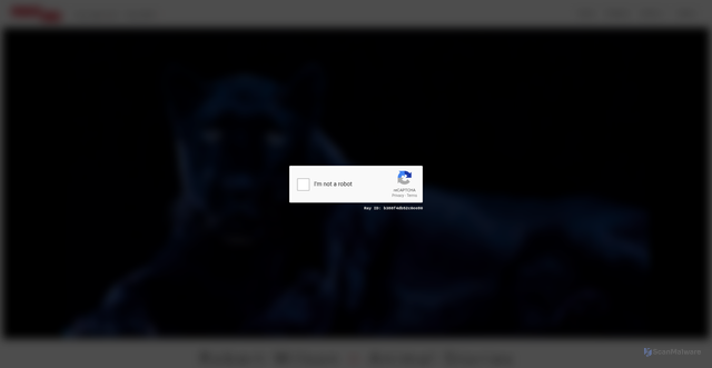 Security scan screenshot of https://www.changeperformingarts.com