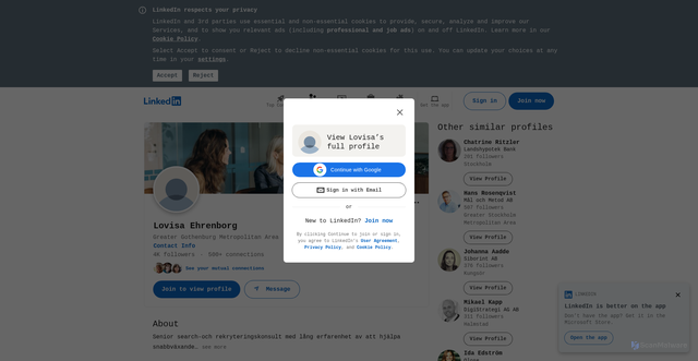 Security scan screenshot of https://www.linkedin.com/in/lovisaehrenborg