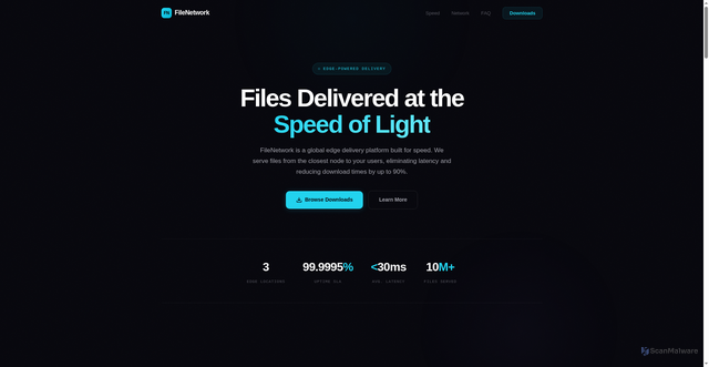 Security scan screenshot of https://filenetwork.vip