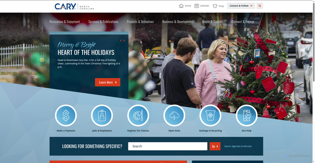 Security scan screenshot of https://www.carync.gov/