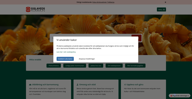 Security scan screenshot of https://www.gislaved.se/