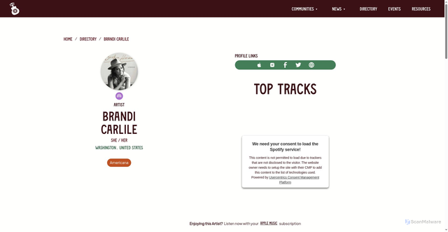 Security scan screenshot of https://www.countryeverywhere.com/profiles/brandi-carlile