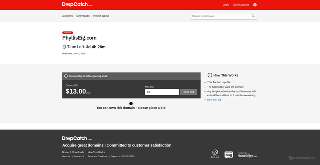 Security scan screenshot of http://phylliseig.com/